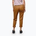 Дамски панталони за катерене Black Diamond Notion SP brown AP7500612014LRG1 3