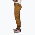 Дамски панталони за катерене Black Diamond Notion Sp Pants dark curry 2