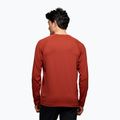 Мъжки потник за трекинг Black Diamond Alpenglow Crew burnt sienna 3