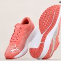 PUMA Aviator Profoam Sky 12 обувки за бягане розови 376615 12 15