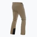 Мъжки скиорски панталони Dainese Ariante Dermizax EV kaki 2