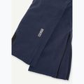 Мъжки ски панталони Colmar 0732-7YS navy blue 3