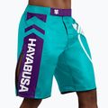 Тренировъчни шорти Hayabusa Icon Fight тил/бял 2