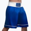 Hayabusa Pro Boxing тренировъчни шорти сини 2
