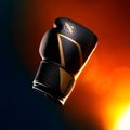 Боксьорски ръкавици Hayabusa E1 Boxing black/gold 8