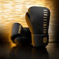 Hayabusa Mayweather Champ черни/златни боксови ръкавици 2