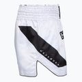 Мъжки тренировъчни шорти Hayabusa Core Fight white 3