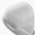Боксови ръкавици Hayabusa T360 Leather white 3