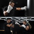 Боксови ръкавици Hayabusa T360 Leather white 6