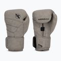 Боксови ръкавици Hayabusa T3 LX slate