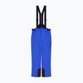 Мъжки скиорски панталони EA7 Emporio Armani Pure Protectum 7 new royal 6