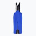 Мъжки скиорски панталони EA7 Emporio Armani Pure Protectum 7 new royal 7