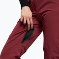 Дамски ски панталони Dainese Hp Scree jam violet 6