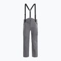 Мъжки ски панталони Dainese Hp Ridge castle rock