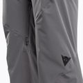 Мъжки ски панталони Dainese Hp Ridge castle rock 3