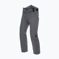 Мъжки ски панталони Dainese Hp Ridge castle rock 4