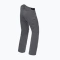 Мъжки ски панталони Dainese Hp Ridge castle rock 5