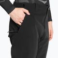 Мъжки ски панталони Dainese Dermizax Ev stretch/limo 3