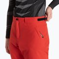 Мъжки ски панталони Dainese Dermizax Ev high/risk/red 4