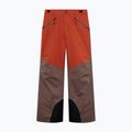 Мъжки скиорски панталони Oakley Canopy Pro Insulated Dark Umber/Flame Red 6