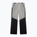Мъжки скиорски панталони Oakley Canopy Pro Insulated Pitch Black/Cement 6
