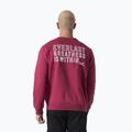 Мъжки суитшърт Everlast Neutrals Crewneck bordeaux 3