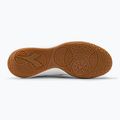 Мъжки футболни обувки Diadora Pichichi 5 IDR white DD-101.178793-C0351-39 5