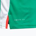 Мъжка тениска за тенис Diadora SS TS green DD-102.179124-70134 4