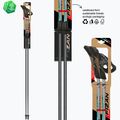 Щеки за скандинавско ходене Fizan Carbon Pro Impulse grey 6