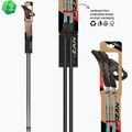Щеки за скандинавско ходене Fizan Tekno Impulse grey 6