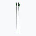 Скиорски щеки Fizan Storm black/green