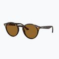 Слънчеви очила Ray-Ban RB2180 light havana/brown polarized 4