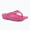 Ellesse Aletha fuxia дамски джапанки
