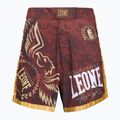 Къси панталони MMA LEONE 1947 Legionarivs II bordeaux 5