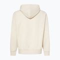Мъжки Oakley MTL PO Hoodie mist 2