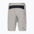 Мъжки шорти за колоездене Oakley Free Ride Lined cement 2