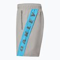 Мъжки шорти Oakley Training Sidepanel cement 3