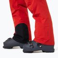 Мъжки скиорски панталони Oakley Canopy Pro Insulated flame red/rosewood 6