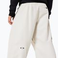 Мъжки сноуборд панталони Oakley Channel Cargo mist 7