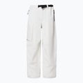 Мъжки сноуборд панталони Oakley Channel Cargo mist 8
