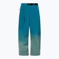 Мъжки сноуборд панталони Oakley Channel Grade Cargo new balsam 8