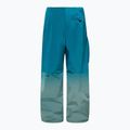 Мъжки сноуборд панталони Oakley Channel Grade Cargo new balsam 9