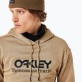 Мъжки суитшърт за сноуборд Oakley Rider Long 2.0 Hoodie pebble 5
