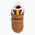 Детски обувки Geox Elthan tobacco/navy 6