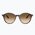 Слънчеви очила Ray-Ban Bernard havana/brown gradient 2