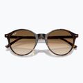 Слънчеви очила Ray-Ban Bernard havana/brown gradient 3