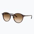 Слънчеви очила Ray-Ban Bernard havana/brown gradient 4
