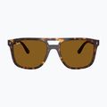 Слънчеви очила Ray-Ban RB2213 havana/brown b-15 2