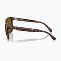 Слънчеви очила Ray-Ban RB2213 havana/brown b-15 6