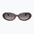 Слънчеви очила Ray-Ban RB2223 havana/gradient grey 2